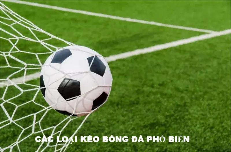 Các loại kèo bóng đá phổ biến